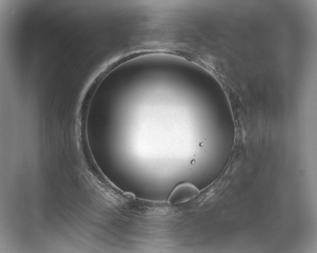 X0000070240342200606091340