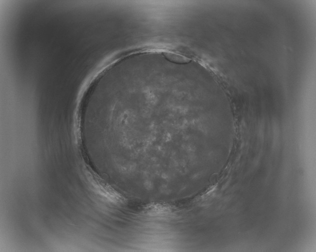 X0000070240343200606091340