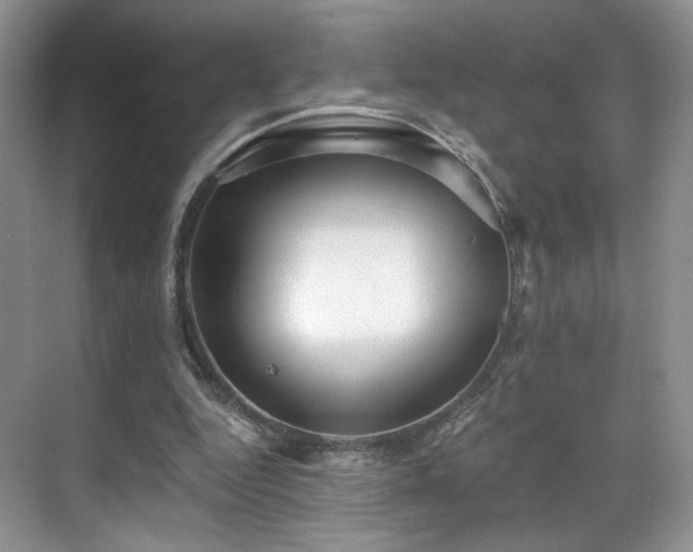 X0000070240344200606091340