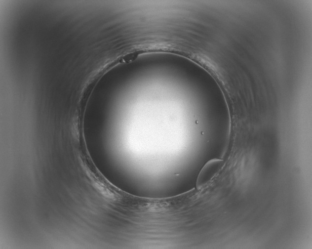 X0000070240345200606091340