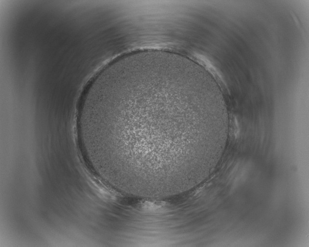 X0000070240346200606091340