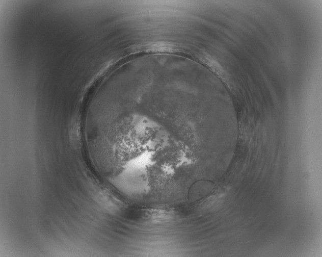 X0000070240347200606091340