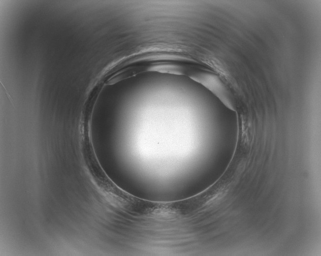 X0000070240348200606091340