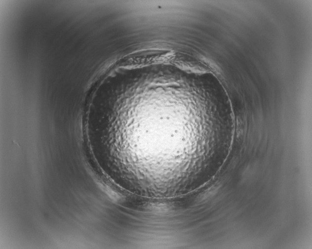 X0000070240349200606091340