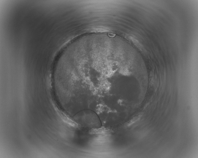 X0000070240351200606091340