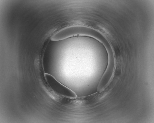 X0000070240352200606091340