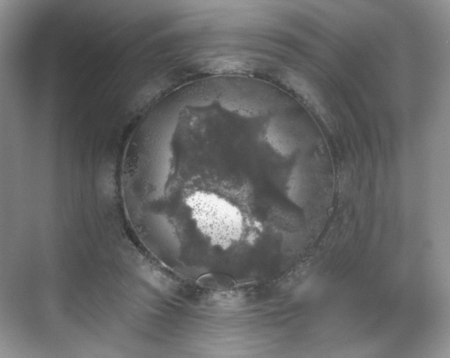 X0000070240353200606091340