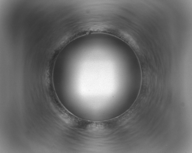 X0000070240354200606091340