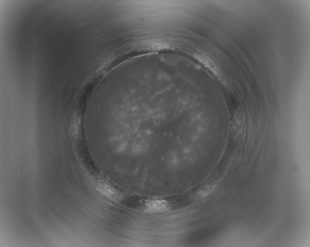 X0000070240355200606091341