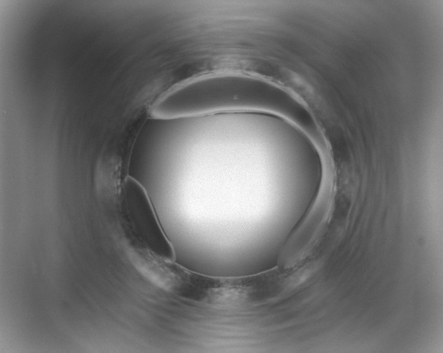 X0000070240356200606091341