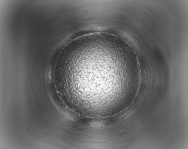 X0000070240358200606091341