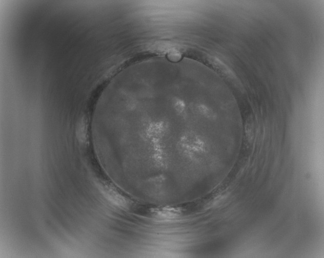 X0000070240359200606091341