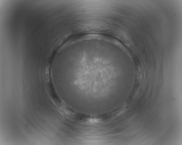 X0000070240360200606091341