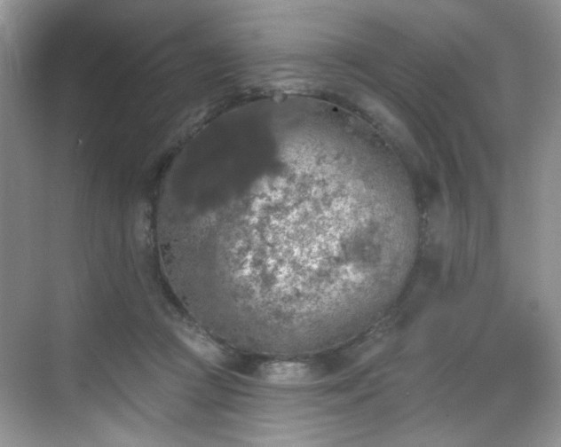 X0000070240361200606091341