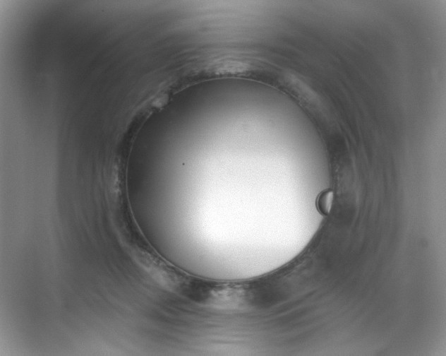 X0000070240362200606091341