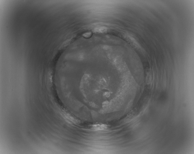 X0000070240363200606091341