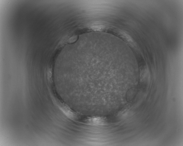 X0000070240365200606091341