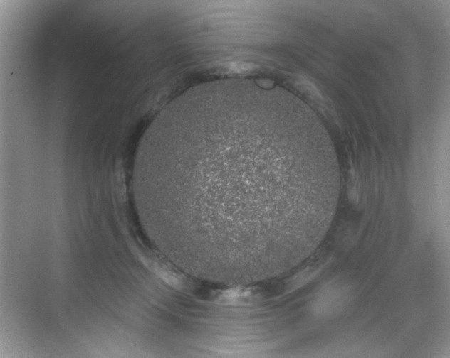 X0000070240366200606091341