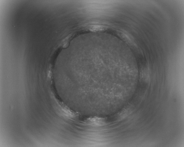 X0000070240367200606091341