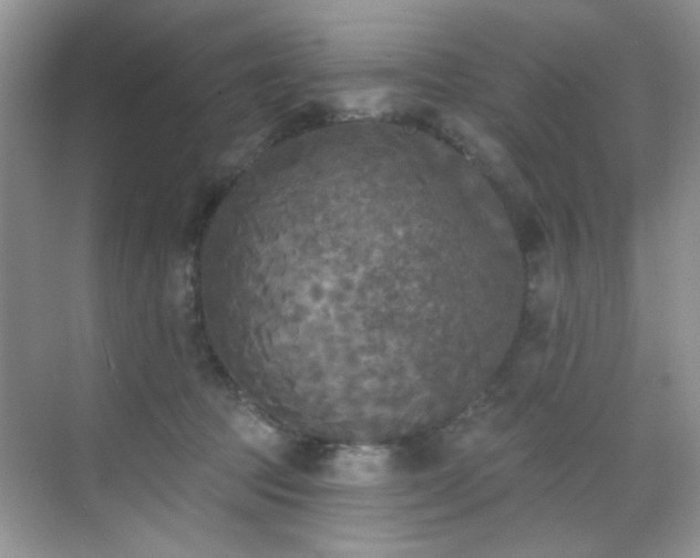 X0000070240369200606091341