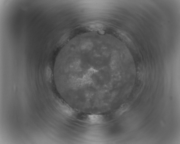 X0000070240371200606091341