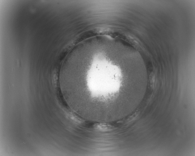 X0000070240372200606091341