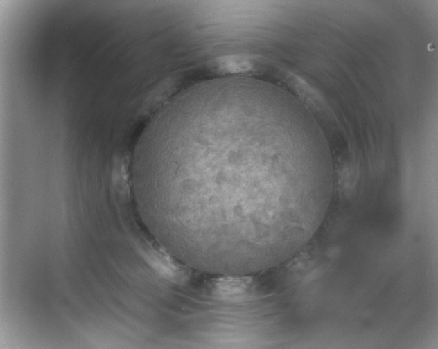 X0000070240373200606091341