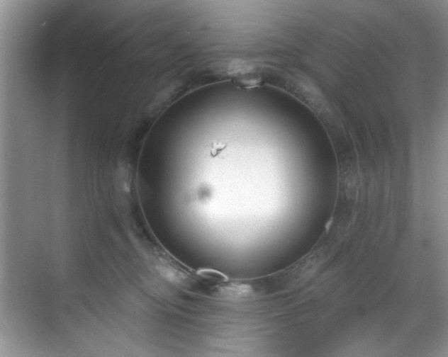 X0000070240374200606091341