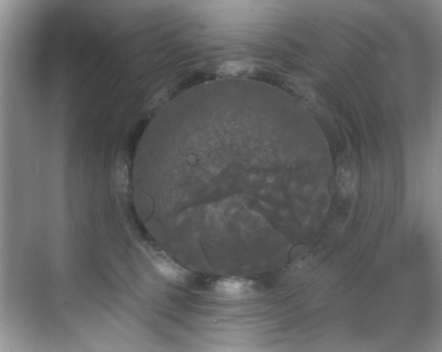 X0000070240375200606091341