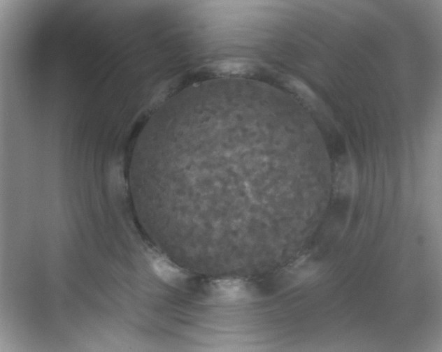 X0000070240377200606091341