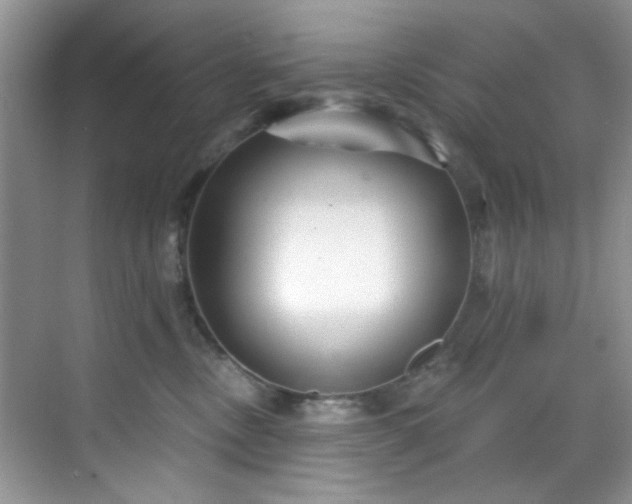 X0000070240378200606091341