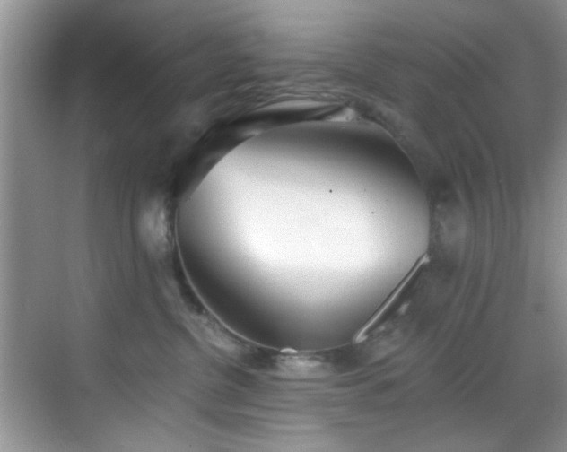 X0000070240380200606091341