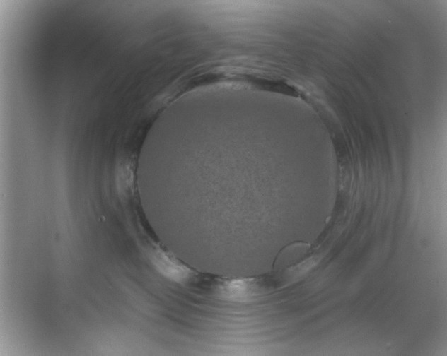 X0000070240382200606091341