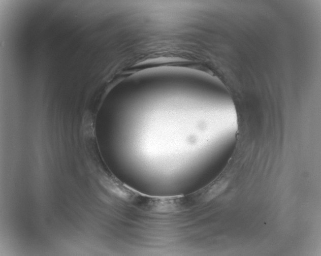 X0000070240384200606091341