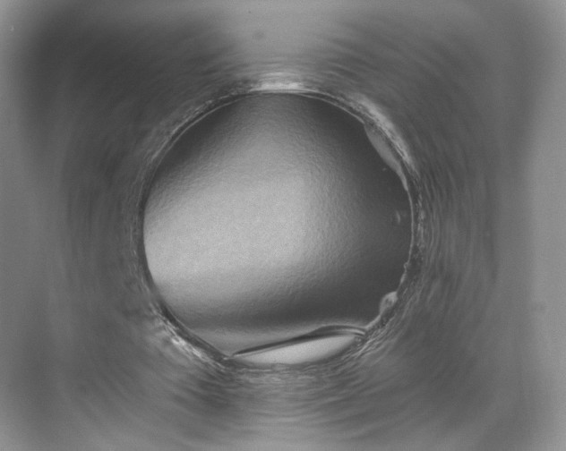 X0000070240385200606091340