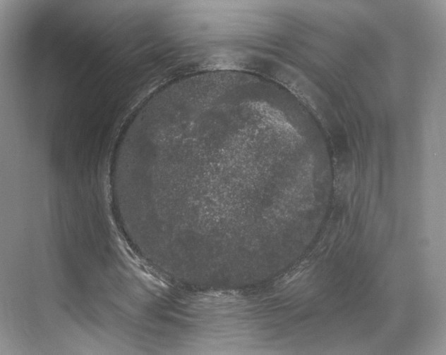 X0000070240386200606091340