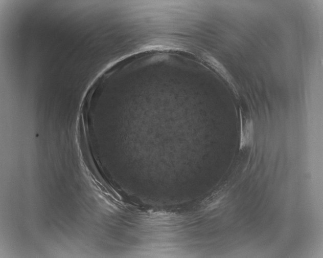 X0000070240387200606091340