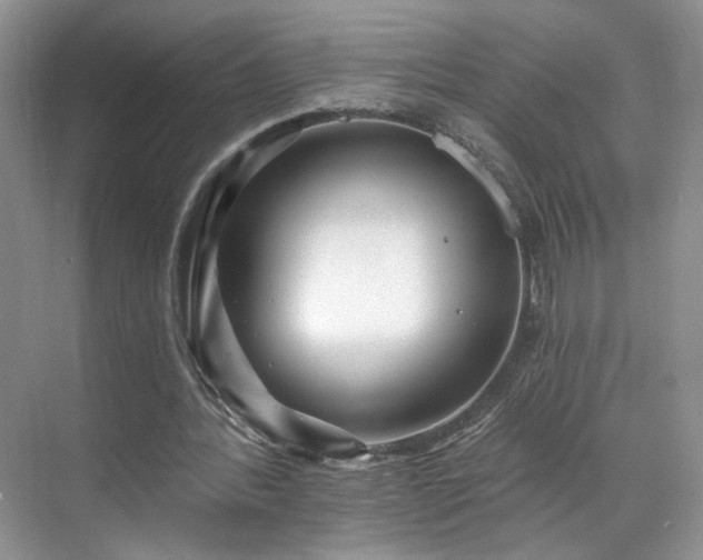 X0000070240388200606091340