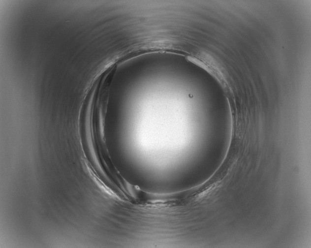 X0000070240389200606091340