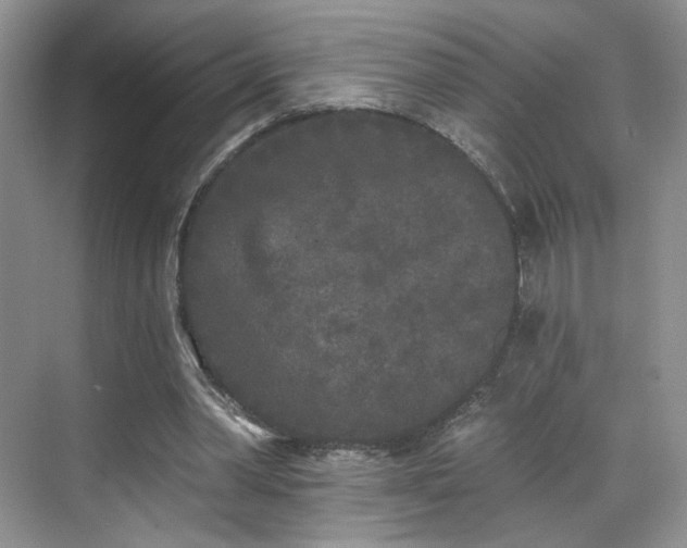 X0000070240390200606091340