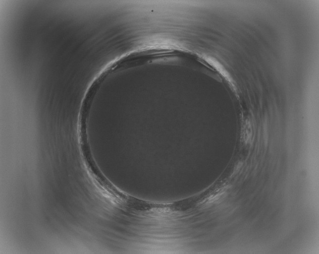 X0000070240391200606091340