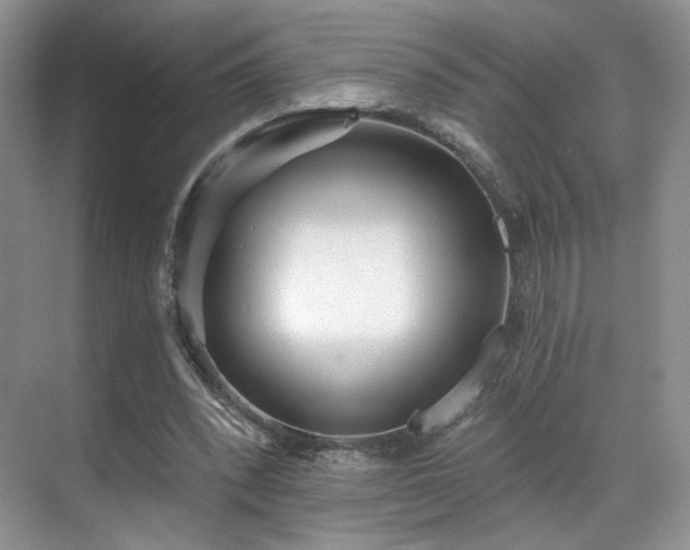 X0000070240392200606091340