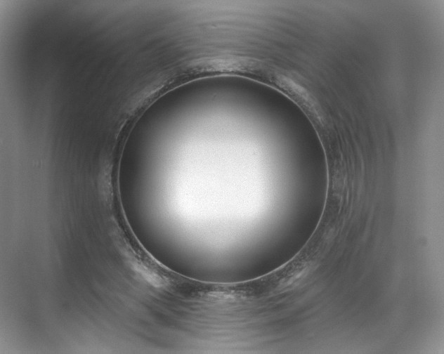 X0000070240394200606091340