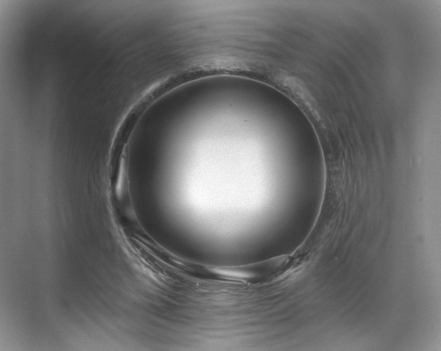 X0000070240395200606091340