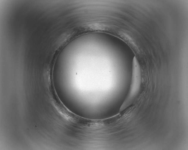 X0000070240398200606091340