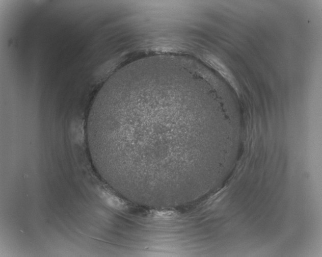 X0000070240401200606091340