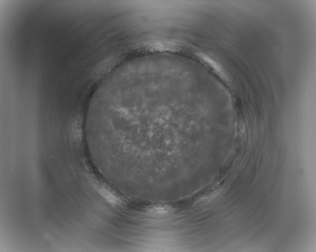 X0000070240402200606091340