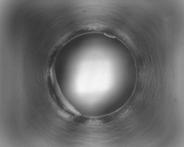 X0000070240403200606091340