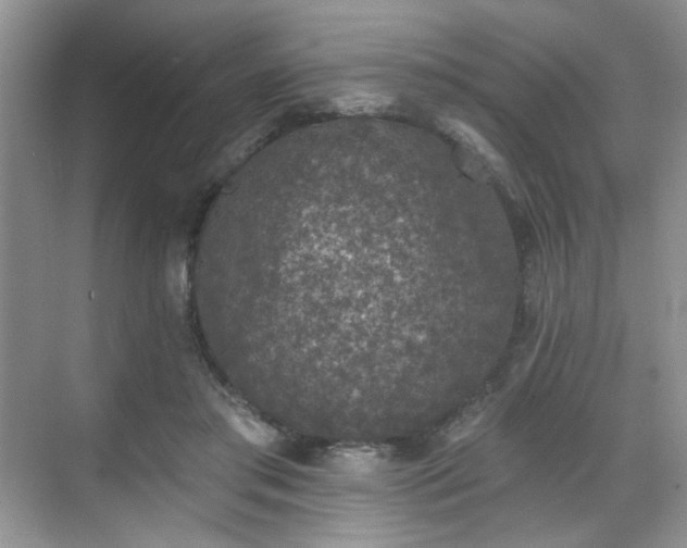 X0000070240405200606091340