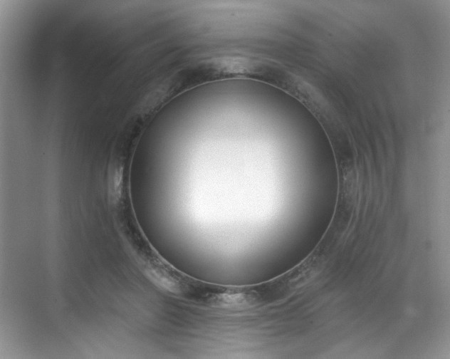 X0000070240406200606091340